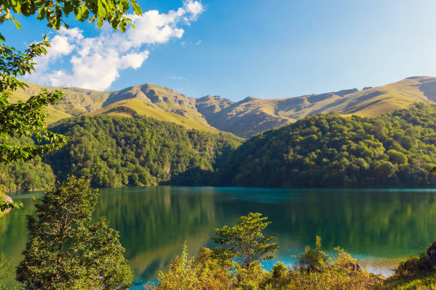 How to use seasonal deals